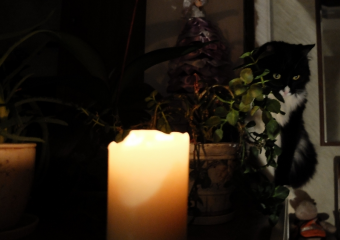 Более 6 тысяч человек в Шахтах остались без света после ночной атаки БПЛА