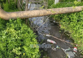 Дети вынуждены ходить в школу по мостику из-за прорыва канализации 
