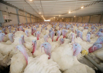 Компания «Евродон» официально прокомментировала ситуацию с изменениями в составе акционеров предприятия