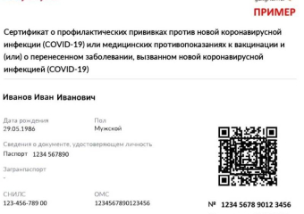 QR-код будут выдавать по тесту на антитела к COVID-19