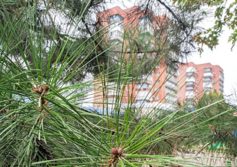 Зима не отступает: в субботу возможен дождь со снегом