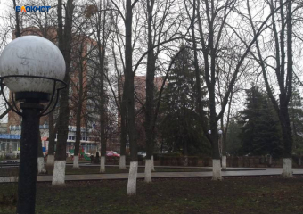 После обеда прогнозируется дождь и будет по-весеннему тепло