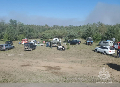 Крупный лесной пожар разгорелся в Каменском районе 