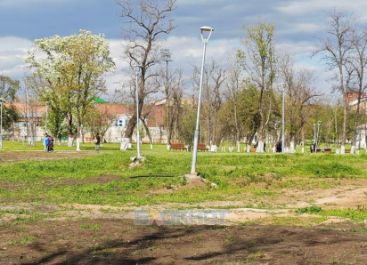 У шахтинцев появились вопросы по поводу новых фонарей в Александровском парке