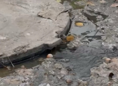 Дети ходят в садик через реки канализационных сбросов в Шахтах