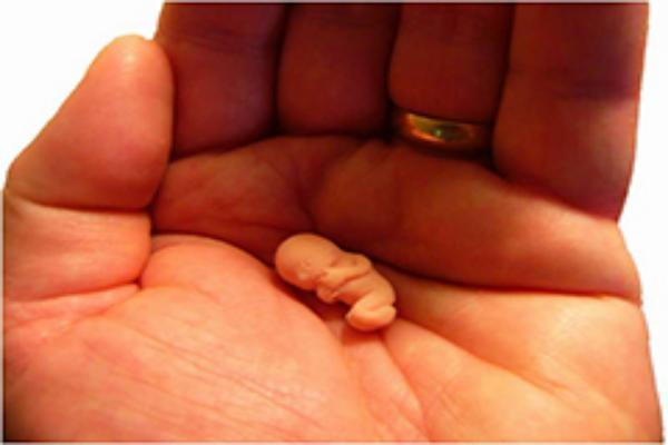 За два дня на Дону зарегистрировали три криминальных аборта