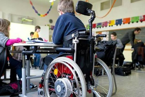 Более 60 миллионов рублей на Дону потратят на создание условий для инклюзивного образования детей-инвалидов