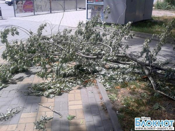 В Шахтах сильный ветер повалил деревья