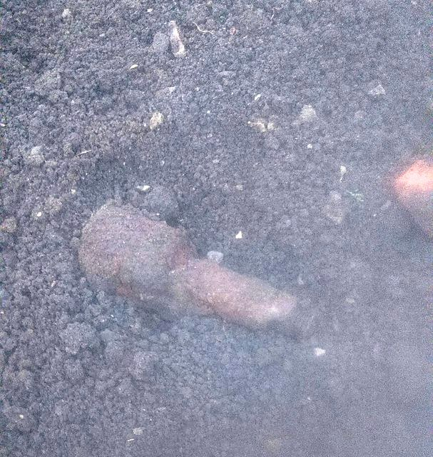 Гранату времен войны случайно выкопал шахтинец  в переулке Камчатском