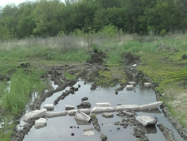 В болото превращается земля в посёлке Новая Азовка в Шахтах