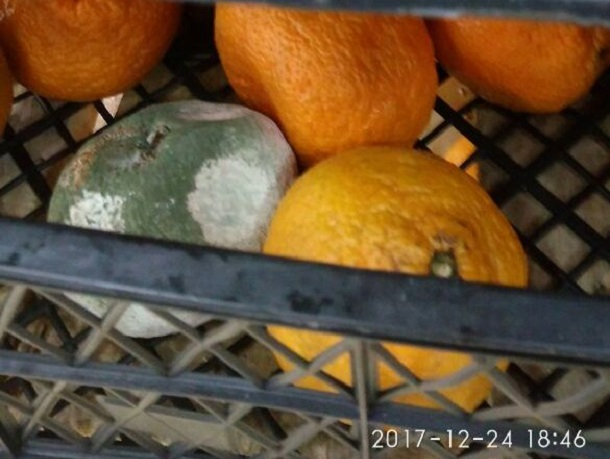 Гнилые мандарины в магазине «Магнит» шокировали шахтинцев