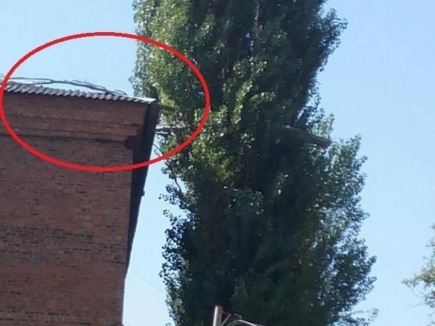Сухая ветка лежит на крыше училища № 35 в Шахтах