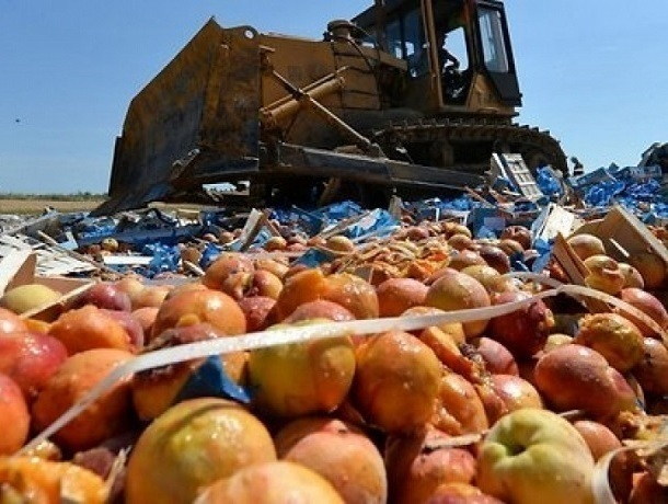 Уничтожили 20 тонн яблок, задержанных под Шахтами