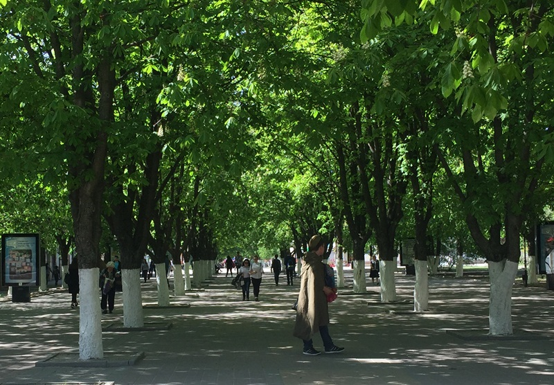 Лента2.JPG
