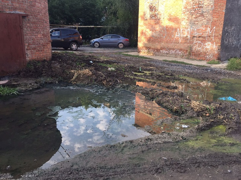 WhatsApp Image 2017-09-03 at 11.59.10.jpeg