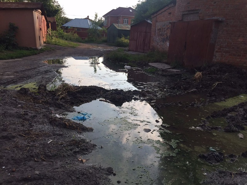 WhatsApp Image 2017-09-03 at 11.59.08.jpeg