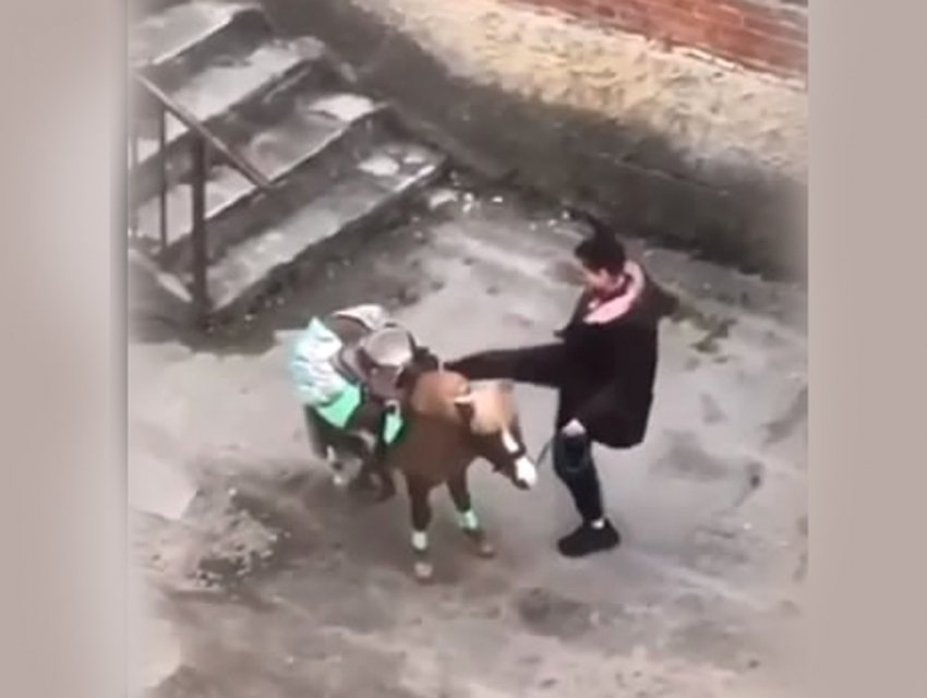 Девушка избила пони на глазах детей в Шахтах 