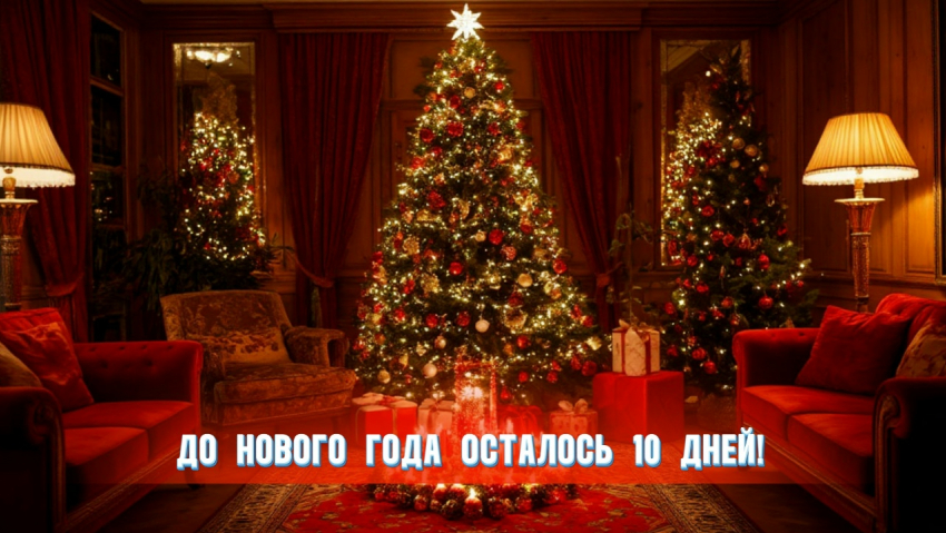 До нового года осталось 10 дней 