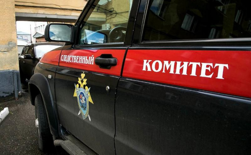 Без вести пропавшую жительницу Шахт нашли жестоко убитой в лесополосе 