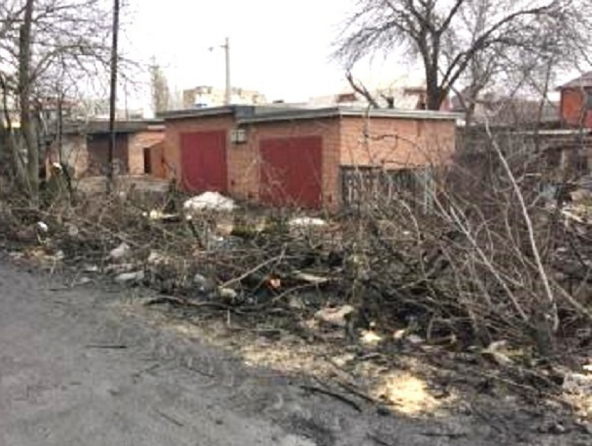 На улице Смидовича в Шахтах незаконно порубили деревья