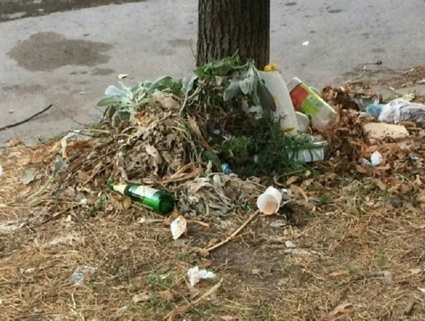 Жители улицы Шевченко в Шахтах жалуются на мусор от расположенного рядом рынка