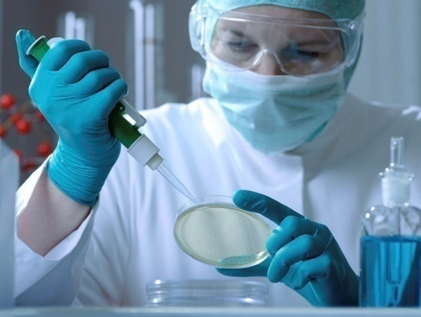 В Шахтах зарегистрировано 11 случаев сальмонеллеза