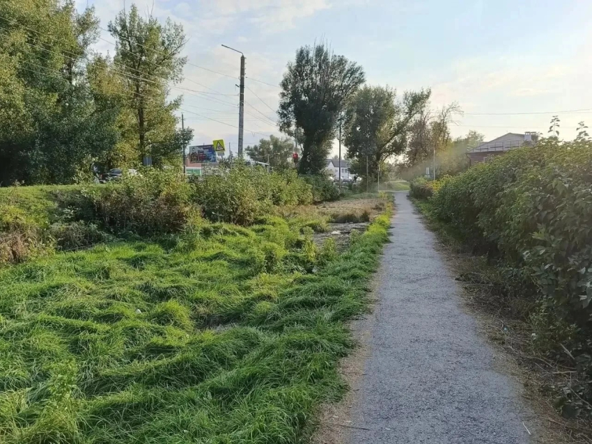 Зеленое болото у СК «Артемовец» в Шахтах, о котором мы писали ранее, осушили