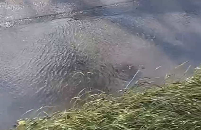 Жители Новоазовки находятся без воды пятые сутки 