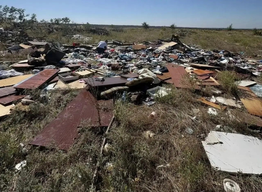  Шахтинца наказали за то, что он устроил свалку в лесополосе 