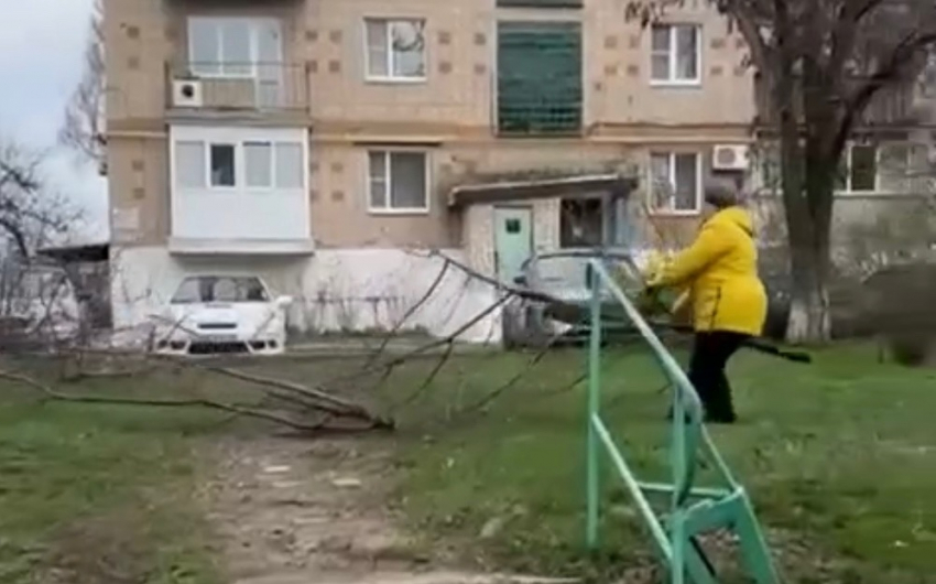 "Гадюшня там» — с такими словами шахтинка вырубила деревья у многоквартирного дома