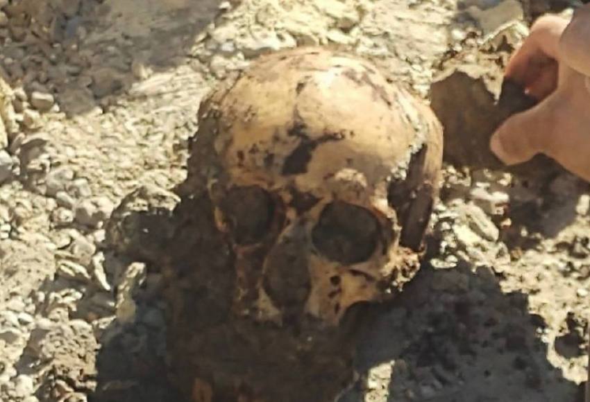 Рабочие нашли человеческий череп в Александровском парке в Шахтах