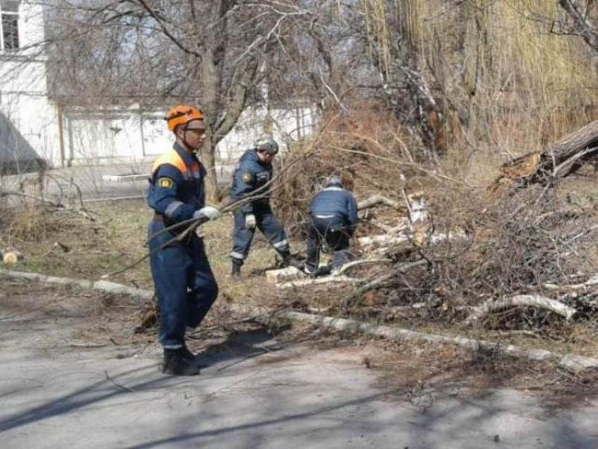 Тендр не состоялся: обещанных пешеходных дорожек в Шахтах не будет