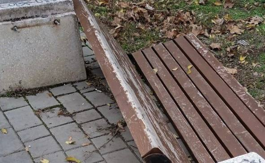 Жители Шахт обеспокоены состоянием Неждановского парка