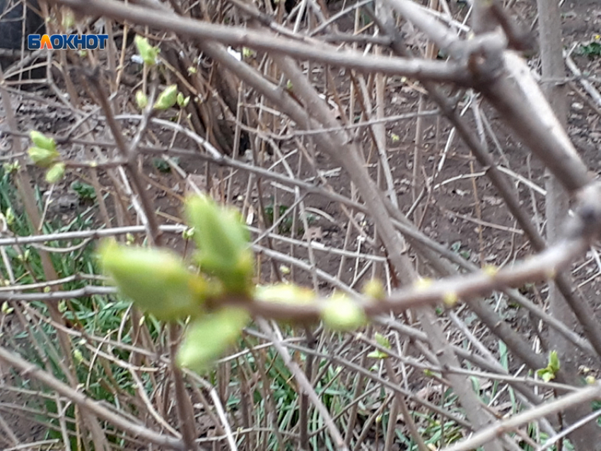 Облака затянут небо над Шахтами, но будет тепло