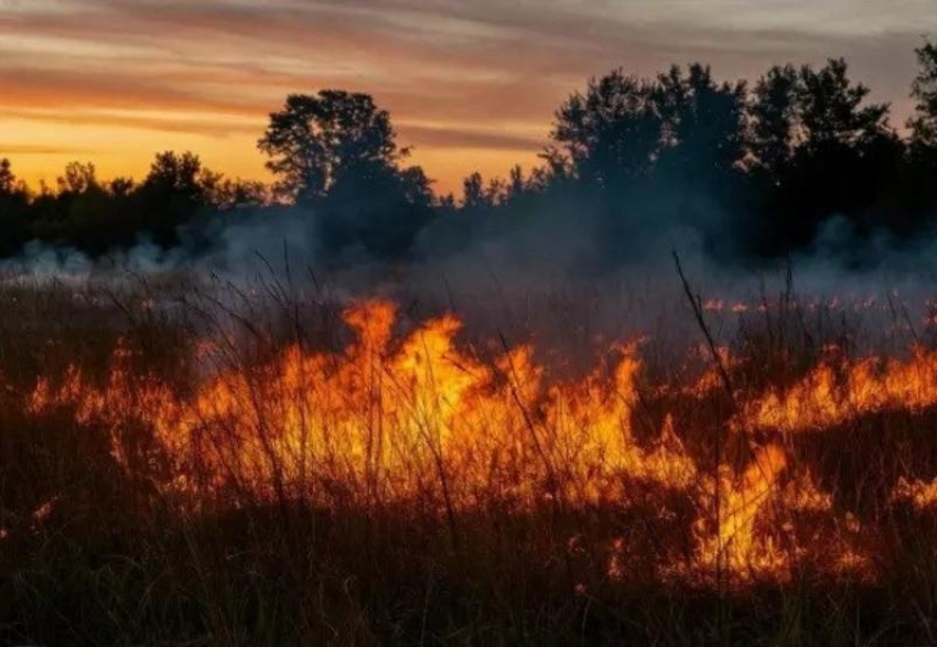 В поселке Артем в Шахтах горела трава на большой площади