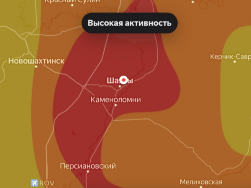 Аллергиков предупредили о резком скачке активности пыльцы 17 мая в Шахтах