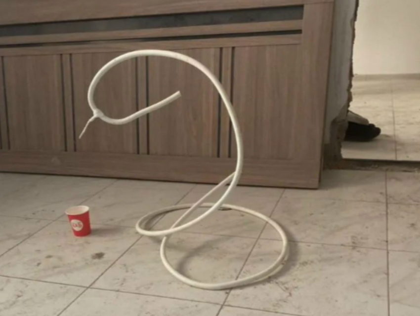 Фигуру из шланга продают за 30 тысяч рублей в Шахтах