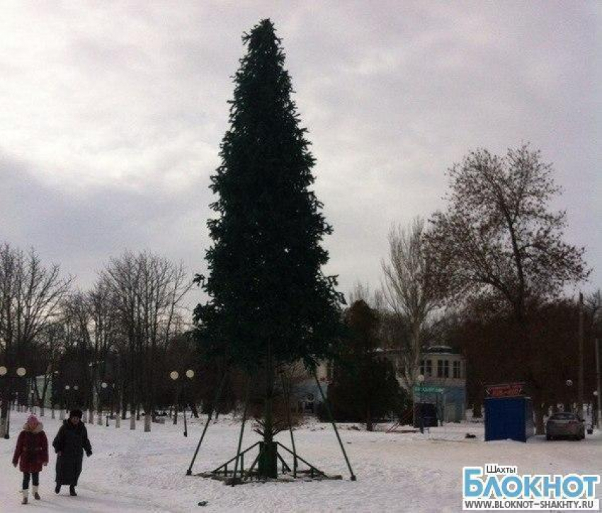 В городском парке и в поселке Красина до сих пор стоят новогодние елки