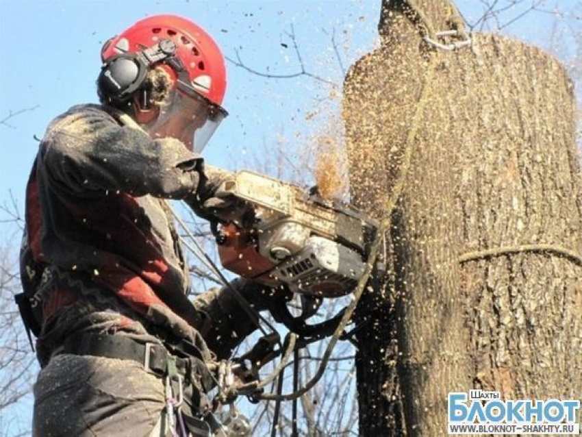 В Шахтах 19 декабря не будет электричества 