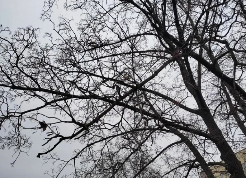 Солнышко снова не порадует шахтинцев, но днем будет относительно тепло