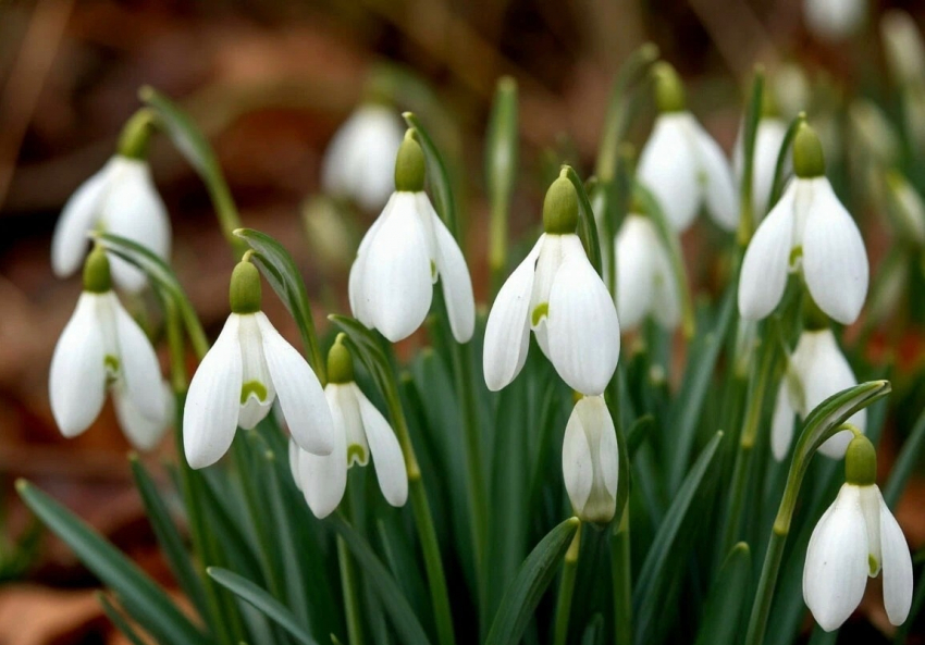 Жителей Шахт на этой неделе ждут морозные ночи и пронизывающий ветер 