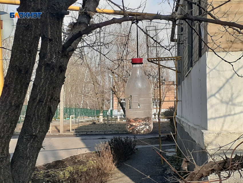 Весна потихоньку вступает в свои права: правда, потеплеет всего на один градус