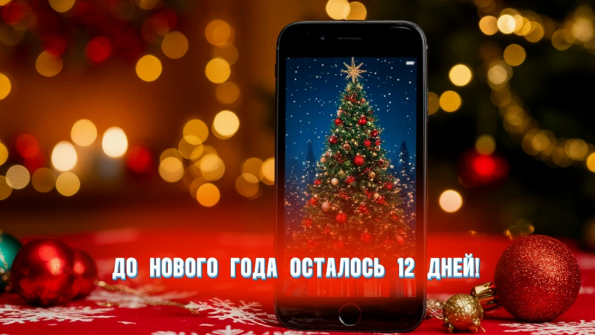 До Нового года осталось 12 дней 