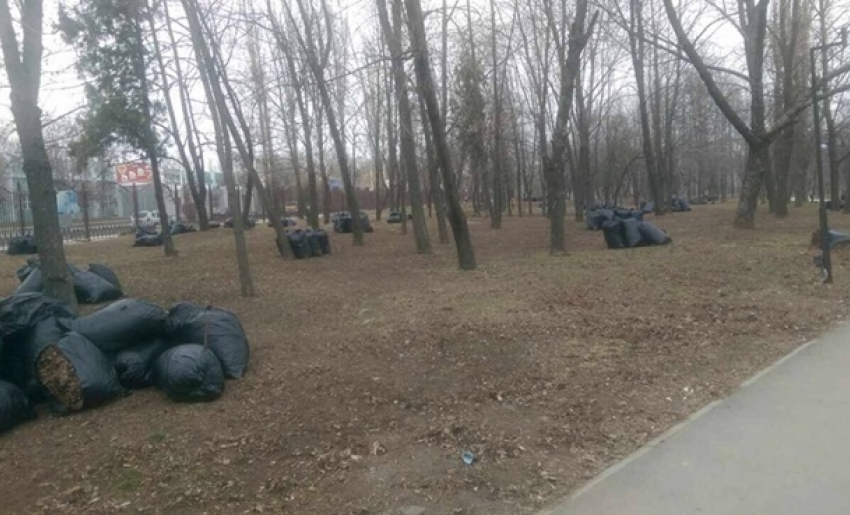 Весенняя уборка осенних листьев в Шахтах