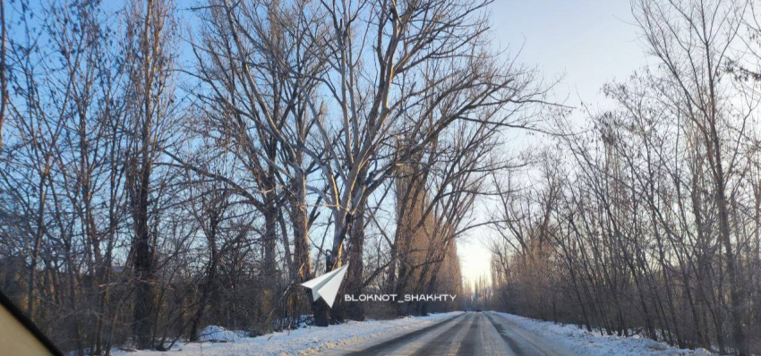 Сухие деревья на Наклонной в Шахтах вот-вот упадут на дорогу