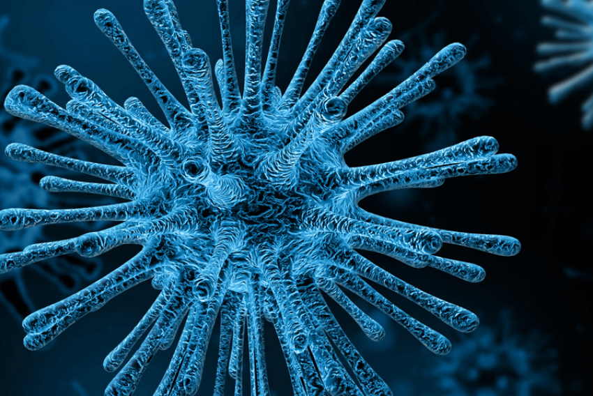 Раскрыты признаки, отличающие коронавирус от гриппа