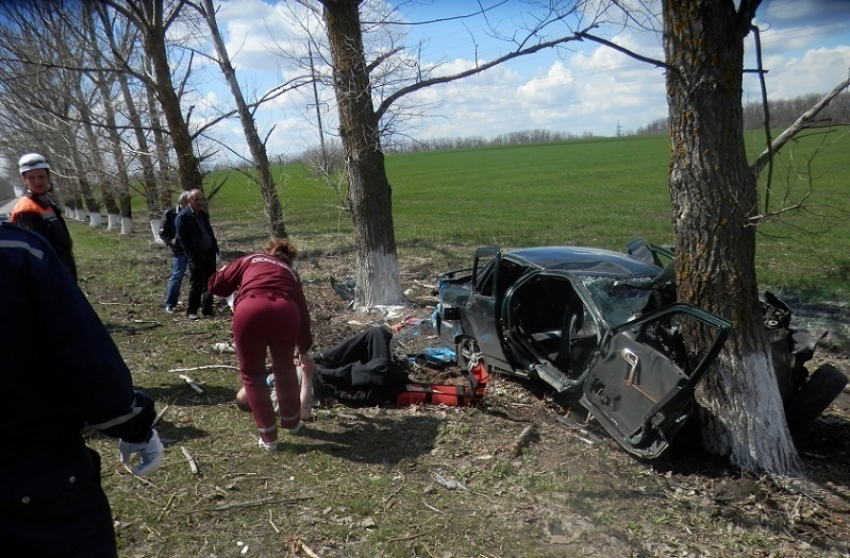 В Шахтах «десятка» врезалась в дерево - два человека госпитализированы