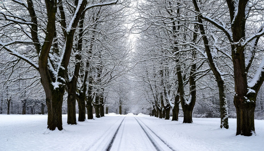 МЧС Ростовской области предупреждает о плохой погоде с 31 января по 3 февраля