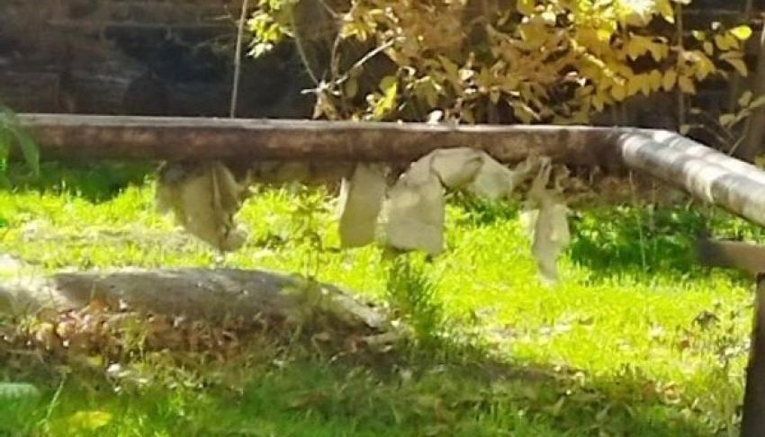 Жители дома в Шахтах страдают из-за проблем с отоплением и инфраструктурой