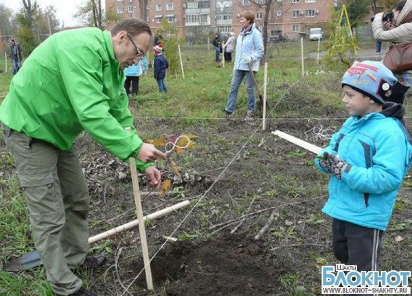 В Шахтах 26 октября прошла прошла акция  по высадке деревьев 